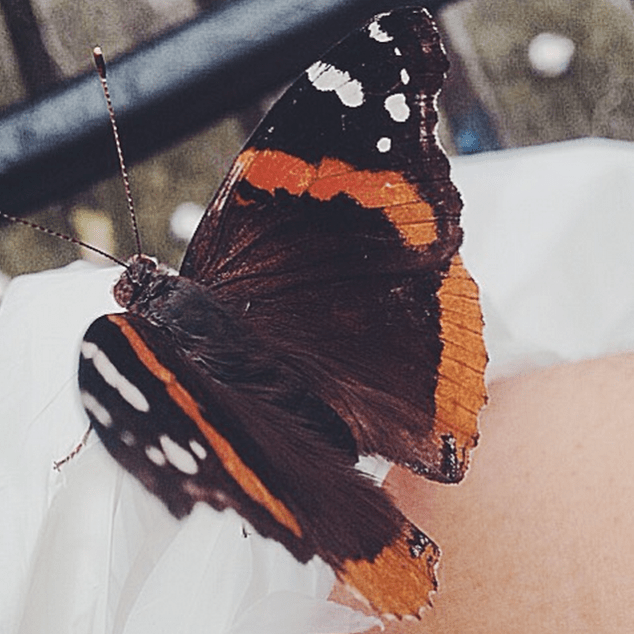 Screen shot 2015-08-02 at 10.47.57 PM