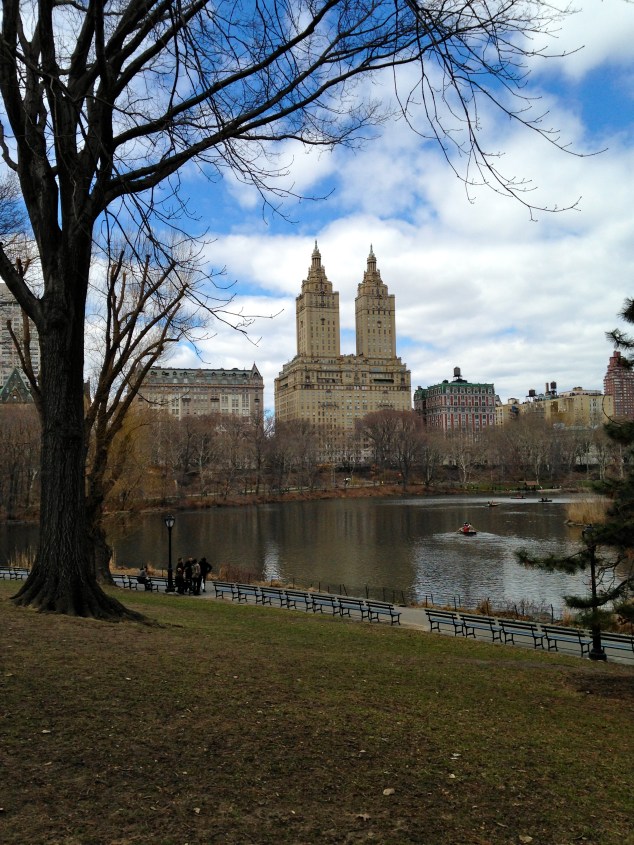 One of many iconic views at Central Park