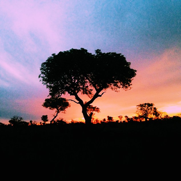 Processed with VSCOcam with c1 preset