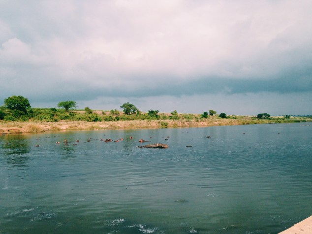 Processed with VSCOcam with c1 preset