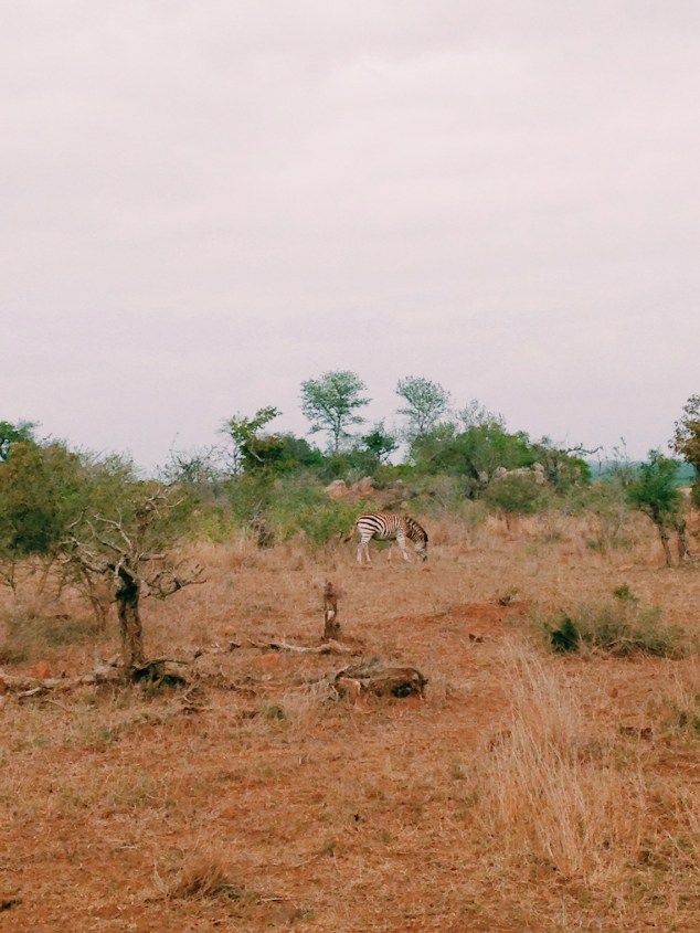 Processed with VSCOcam with c1 preset