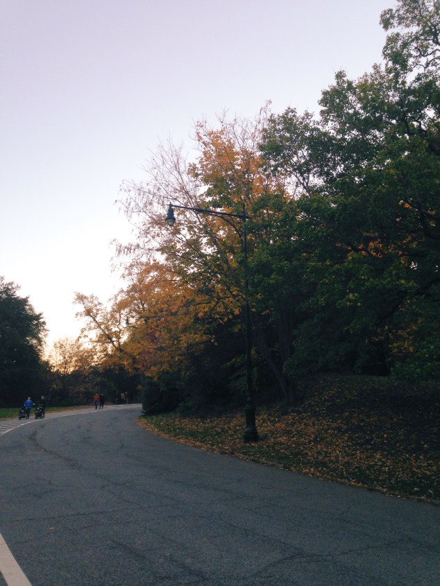 Processed with VSCOcam with c3 preset