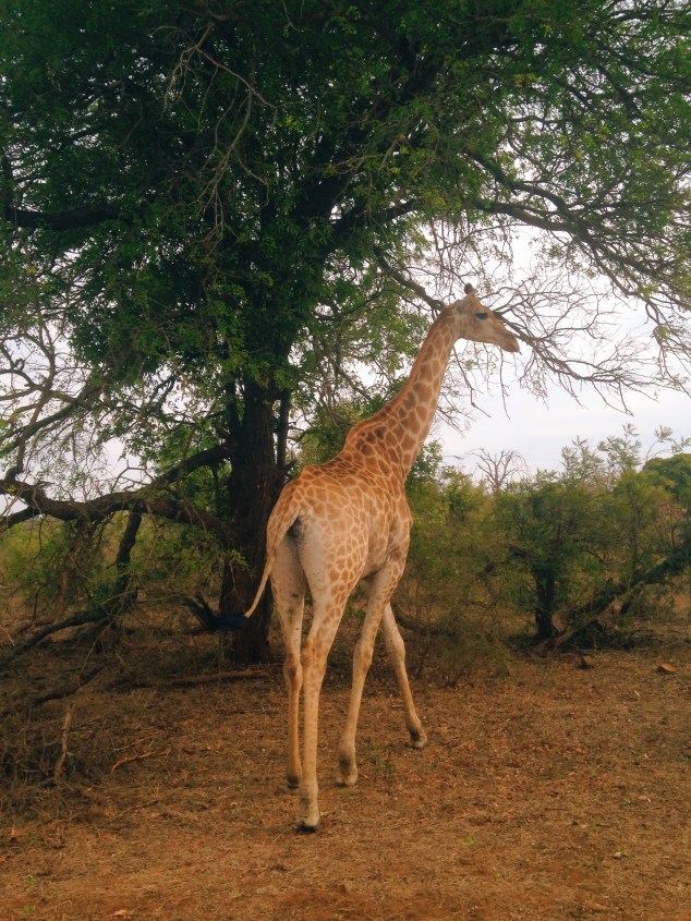 Processed with VSCOcam with c3 preset