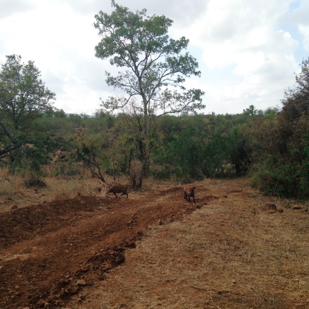 Processed with VSCOcam with c3 preset