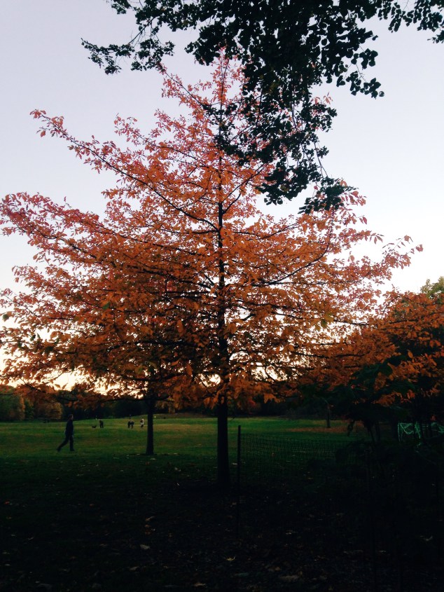 Processed with VSCOcam with c3 preset