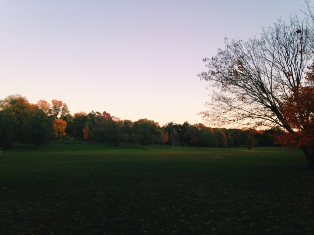 Processed with VSCOcam with c1 preset