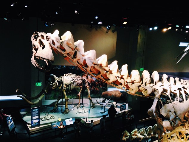 Perot Museum Dallas