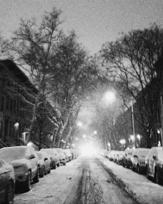 Snow in Carroll Gardens, Brooklyn
