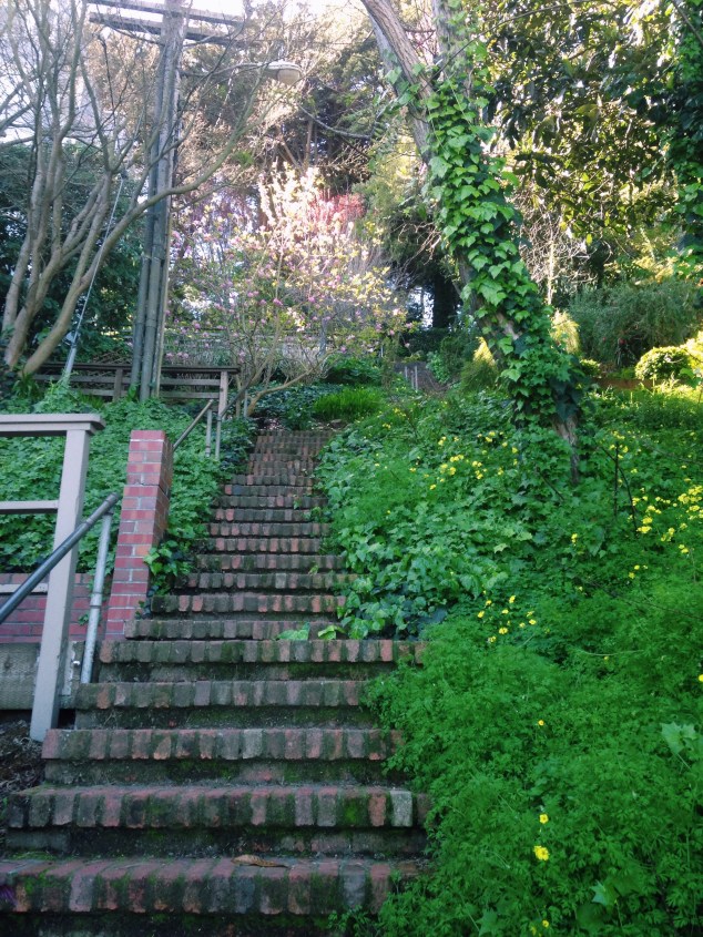 Greenwich Street steps on the way to the Coit Tower, San Francisco