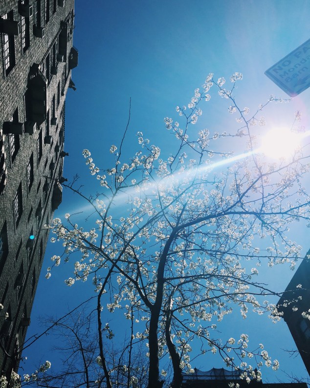 Spring in New York City