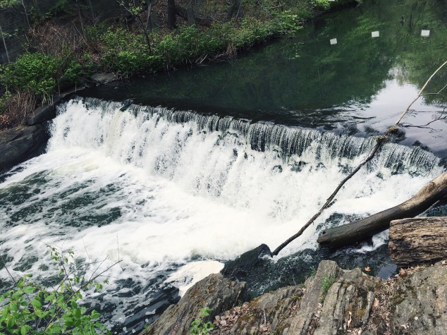 Waterfall on the Bronx River
