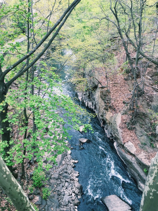 The Bronx River