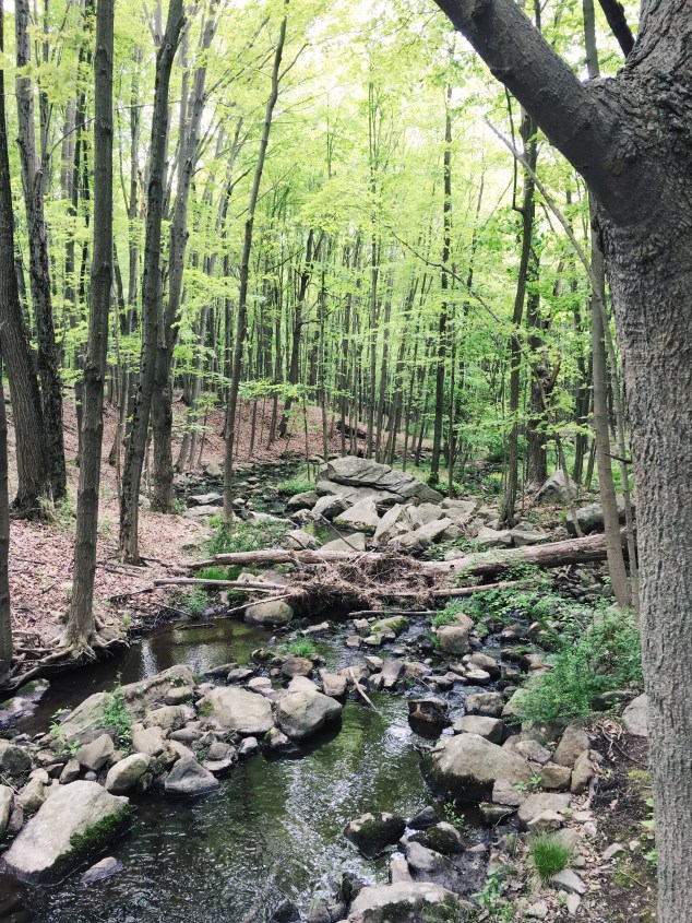 Breakneck Ridge, New York