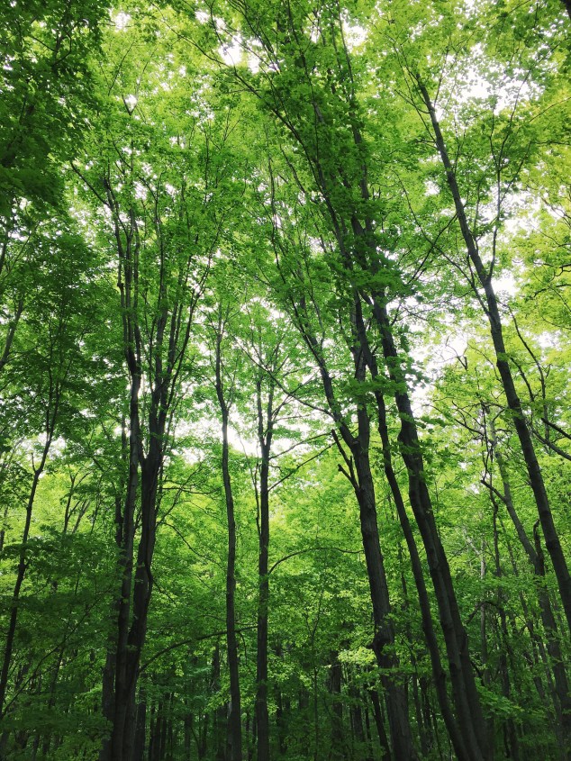 Breakneck Ridge, New York